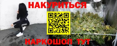 ПСИЛОЦИБИНОВЫЕ ГРИБЫ Бийск